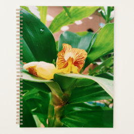 Agenda Frota Flower de Fiery Costus