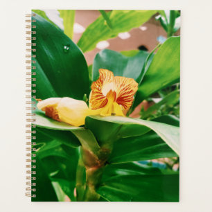 Agenda Frota Flower de Fiery Costus