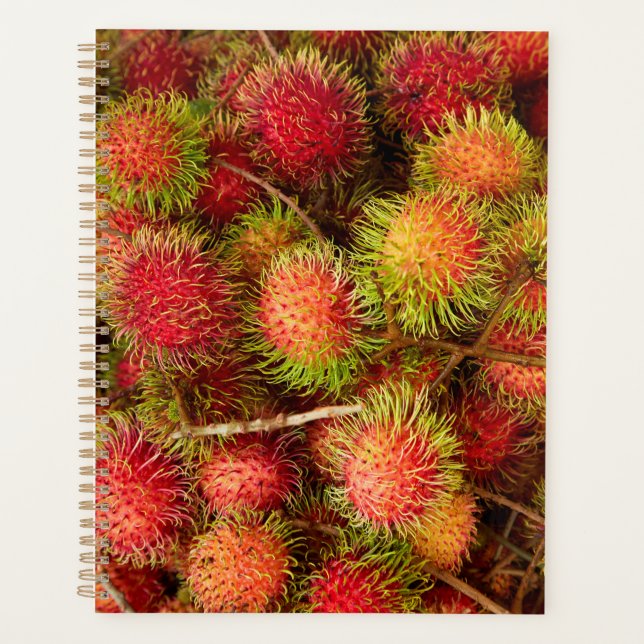 Agenda Fruta Rambutan no mercado Can Duoc (Frente)