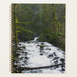 Agenda Fuga de Queda de Véu Bridal, OU