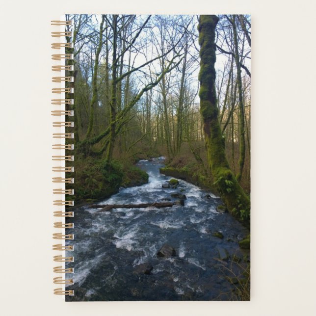 Agenda Fuga de Queda de Véu Bridal, OU (Frente)