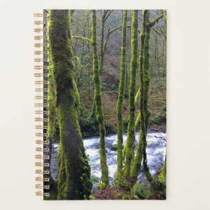 Agenda Fuga de Queda de Véu Bridal, OU
