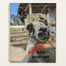 Agenda Funny Alpaca Planner