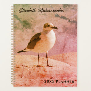 Agenda Gaivota no Planador Praiano