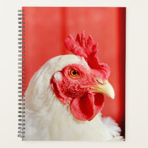 Agenda Galinha fazenda