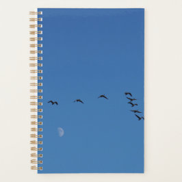 Agenda Gansos canadenses em voo