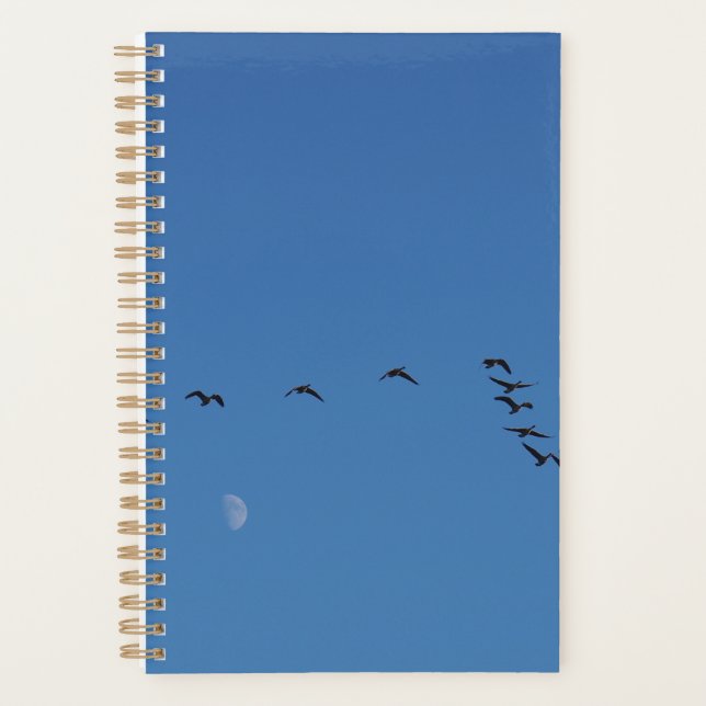 Agenda Gansos canadenses em voo (Frente)