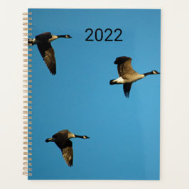 Agenda Gansos canadenses em voo