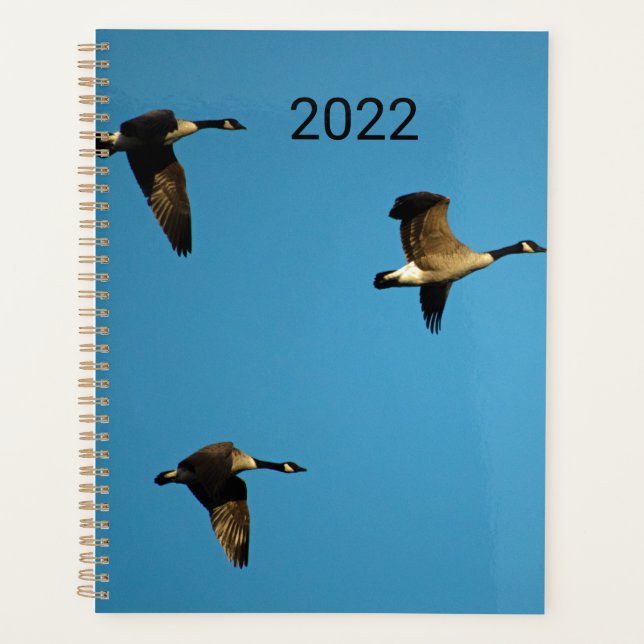 Agenda Gansos canadenses em voo (Frente)