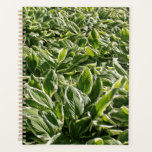 Agenda Garden Green deixa presente de Pai de Dia de os pa<br><div class="desc">Impresso com belos e coloridos padrões de folha de plantas de foca em fundo branco verde!</div>