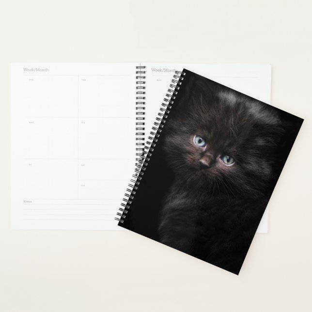 Agenda Gatinho Preto (Exibição)