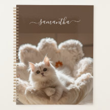 Gato Branco Majestoso em Sofá de Pelúcia Luxuoso