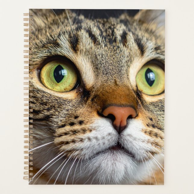 Agenda Gato fofo (Frente)