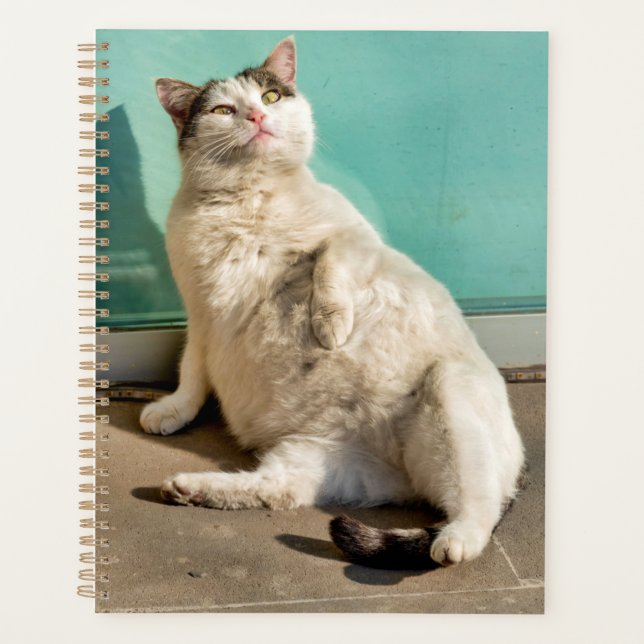 Agenda Gato grávida  (Frente)
