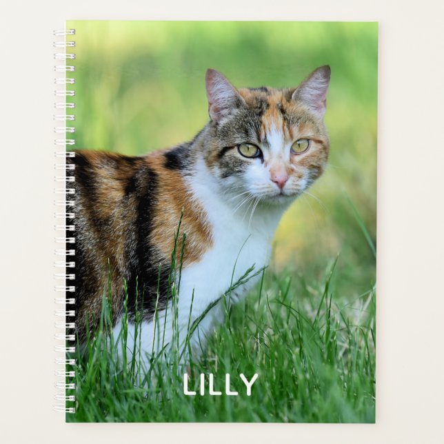 Agenda Gato marrom e branco (Frente)