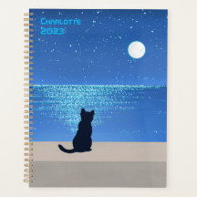 Gato negro debaixo da lua de cheio estrelado noite