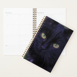 Agenda Gato Preto Cachorro Gato Gatinho Amarelo