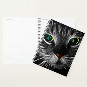 Agenda Gato Sólido, Felino, Espírito Santo