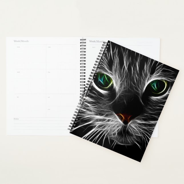Agenda Gato Sólido, Felino, Espírito Santo (Exibição)