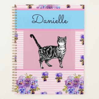 Agenda Gato Tabby Rosa Gatos Shabby Chic Rosa Azul Menina