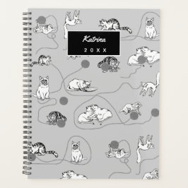 Agenda Gatos Bonitos Brincando E Sendo Um Padrão Malvado