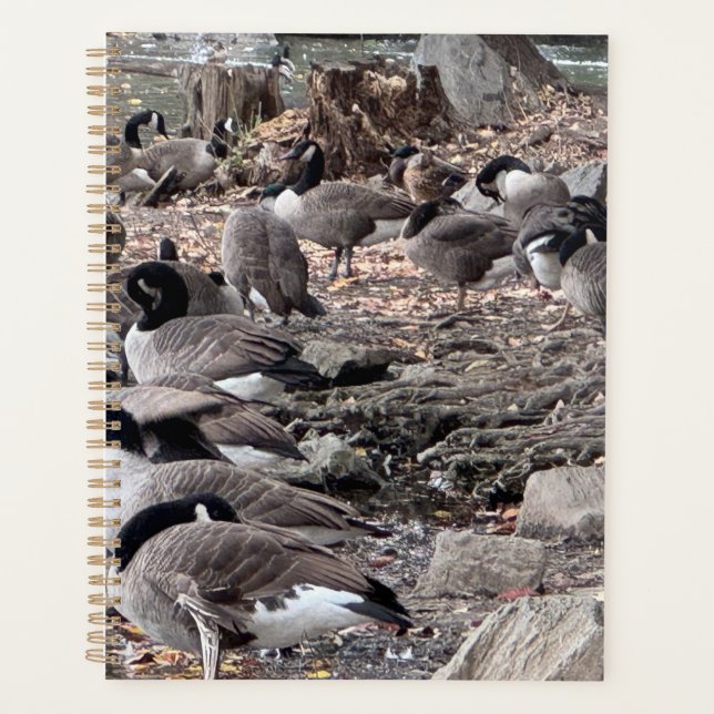 Agenda Geese in the Park Planner (Frente)