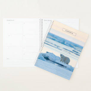 Agenda Gelo e neve Polar Bear Iceberg Noruega