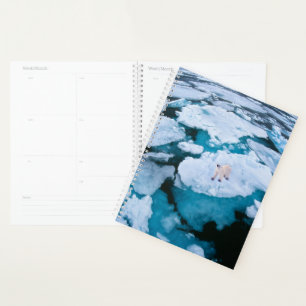 Agenda Gelo e neve Urso Polar, Oceano Ártico, Svalbard