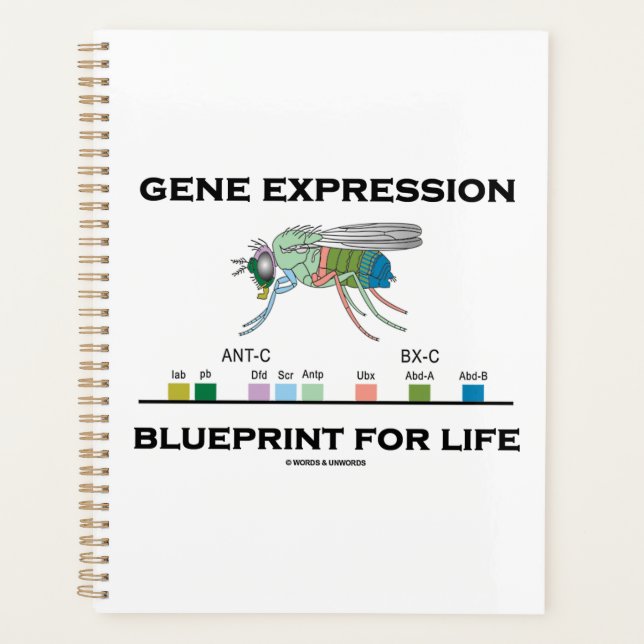 Agenda Gene Expression Blueprint Para Genes Life Homeobox (Frente)