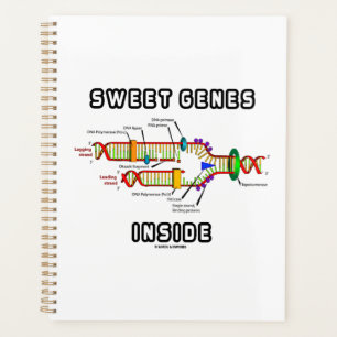 Agenda Genes Doce Humor de Replicação de DNA Dentro
