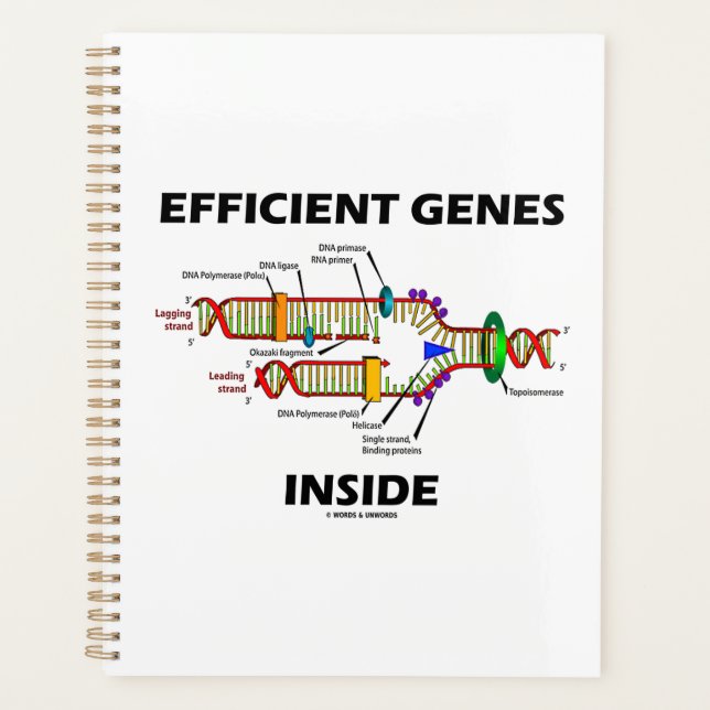 Agenda Genes eficientes Humor de Replicação de Dentro de  (Frente)