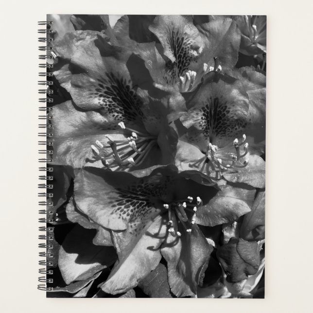 Agenda Gentle Lie (Frente)