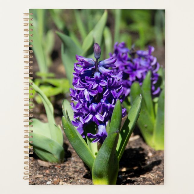 Agenda Geocinto Azul na primavera (Frente)