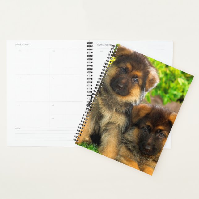 Agenda german shepherd (Exibição)