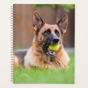 Agenda german shepherd Com Bola De Tênis