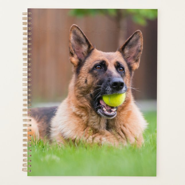Agenda german shepherd Com Bola De Tênis (Frente)