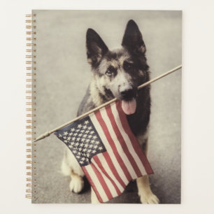 Agenda german shepherd com sinalizador dos EUA
