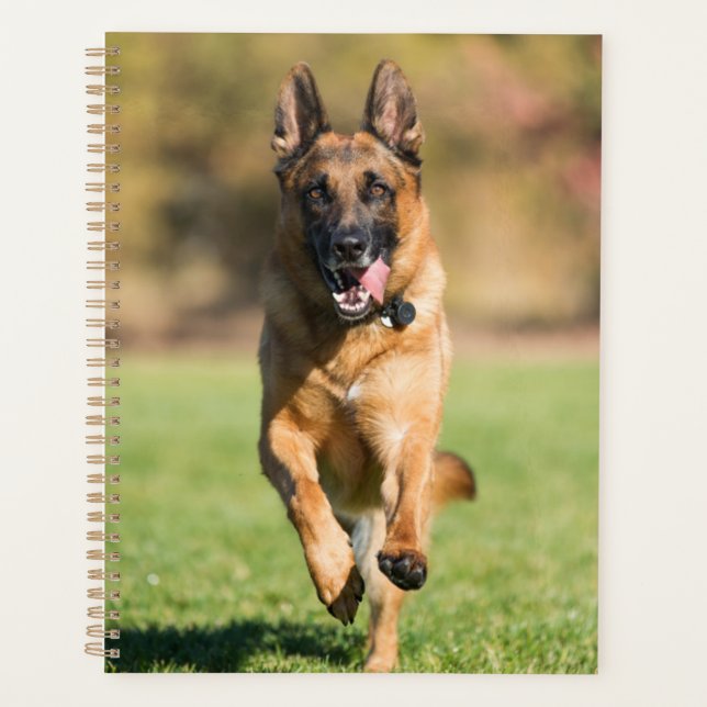 Agenda german shepherd em execução (Frente)
