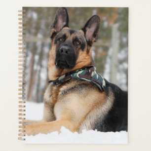 Agenda german shepherd Na Neve