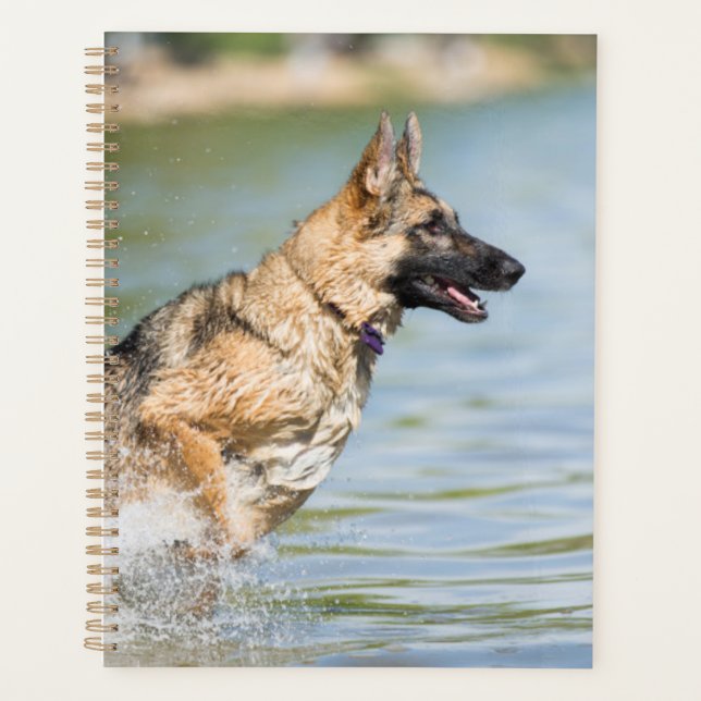 Agenda german shepherd Passa Para Água (Frente)