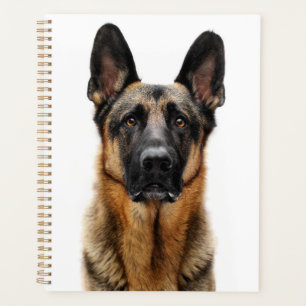 Agenda german shepherd Sentado