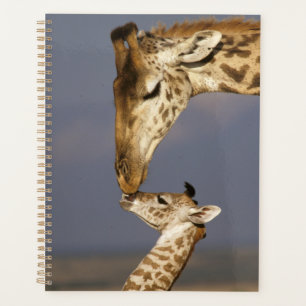 Agenda Girafa Beijando Girafa Bebê