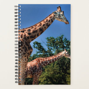 Agenda Girafas