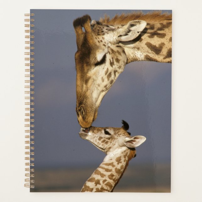 Agenda Giraffe beijando bebê girafa (Frente)