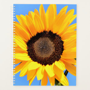 Agenda Girassol Amarelo contra Sol no Céu Azul - Verão