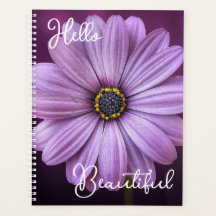 Girly Hello Linda Cotação Lavanda Daisy Flower
