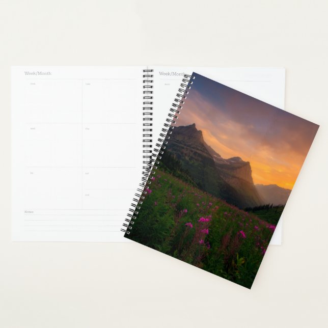 Agenda Glaciar Wildflower (Exibição)
