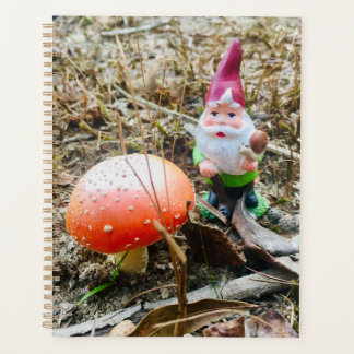 Agenda Gnomos florestais