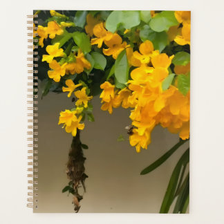 Agenda Golden Blossom Beauty