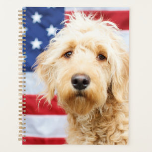 Agenda Goldendoodle com bandeira americana